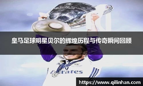 智博19有限公司